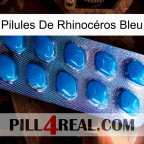 Pilules De Rhinocéros Bleu viagra1